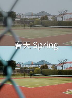 春天SpringLUT vivoLogGP-Log固件2.00AppleLogD-LogMH-LogS-红米