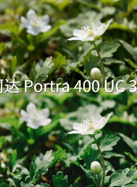 柯达Portra400UC3+LUT D-LogMH-LogREDLogFilm安卓O-LogF-华为P50