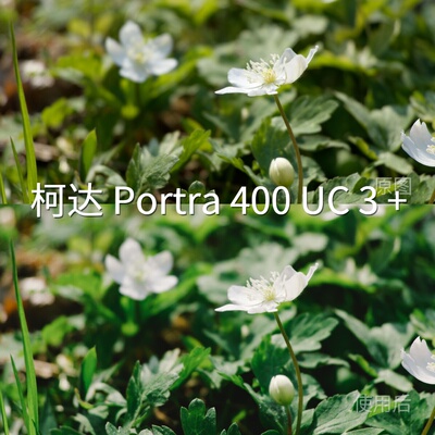 柯达Portra400UC3+LUT D-LogMH-LogREDLogFilm安卓O-LogF-华为P50