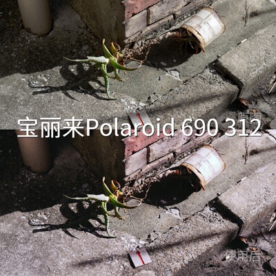 宝丽来Polaroid690312LUT 达芬奇LogC4D-Cinelikecube大疆Action6