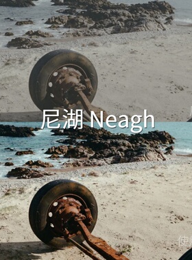尼湖NeaghLUT FCPX平板I-LogAcePro2系列达芬奇D-LogGP-LoGoPro10