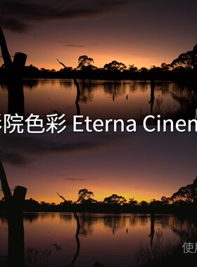 影院色彩EternaCinemaLUT LogC3AppleHDRHLGAEO-Log运vivoXFold‌