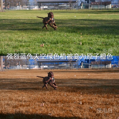 强烈蓝色天空绿色植被变为原子橙色LUT S-Log3O-LogRec.20大疆Air