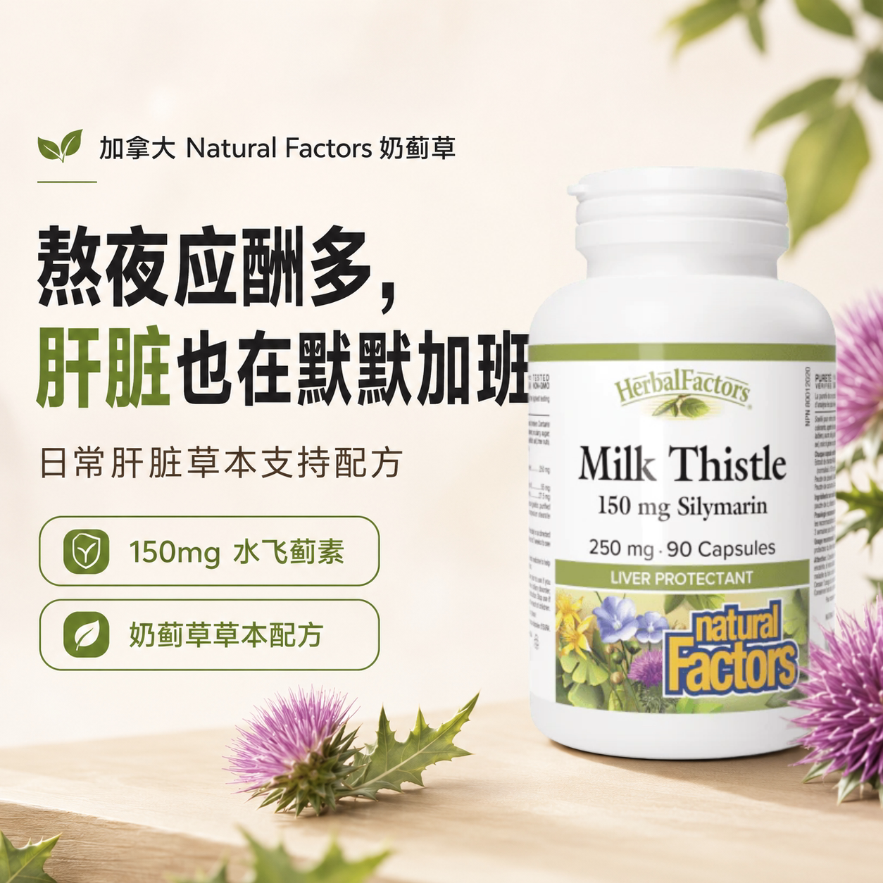 Natural Factor水飞蓟素  姜黄蒲公英120粒熬夜29年到期 保税