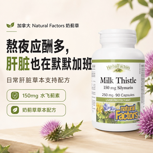 养护熬夜应酬NF姜黄水飞蓟素