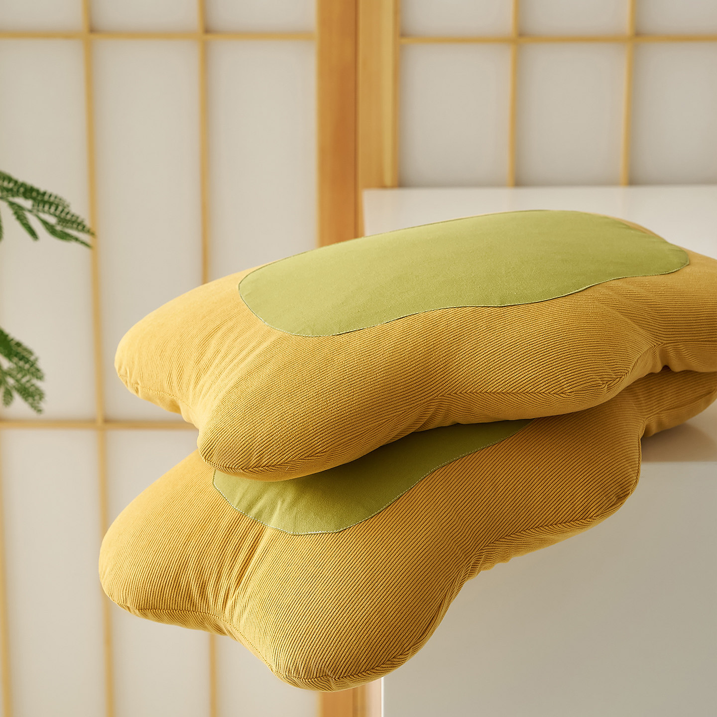 荞麦壳护颈助眠可拆洗硬枕芯