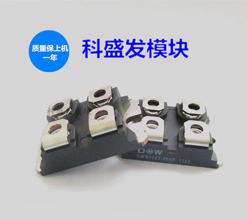 DWM90X2-06NP DWM90X2-04N DWM2F100N120 DWM2F60N120