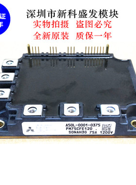 全新现货 质保一年PM75CFE120