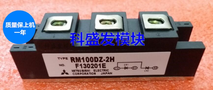2RI60G-160 2RI100G-160  PD10016 RM100DZ-2H  RM100DZ-24保上机