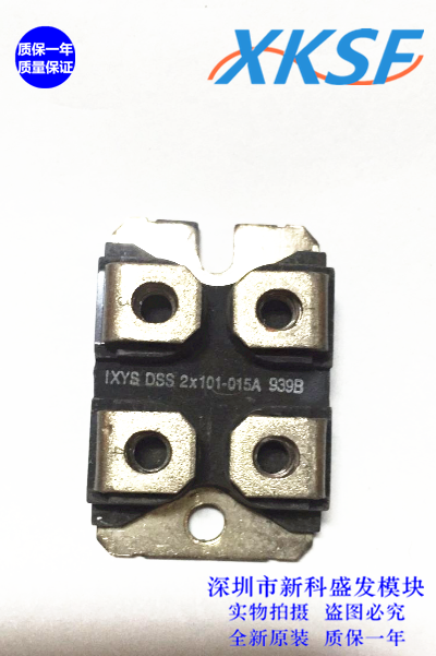 可以直拍DSS2X101-015A DSS2X101-02A 保一年