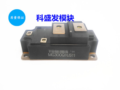 MG300Q1US11 MG300Q1US51 MG300Q1US41 MG300Q1US40
