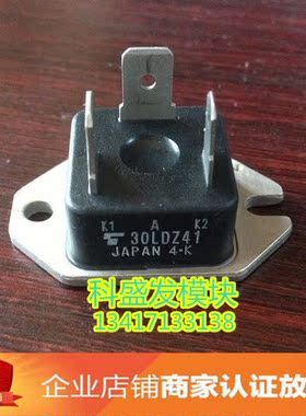 30LDZ41  品质保证  欢迎采购