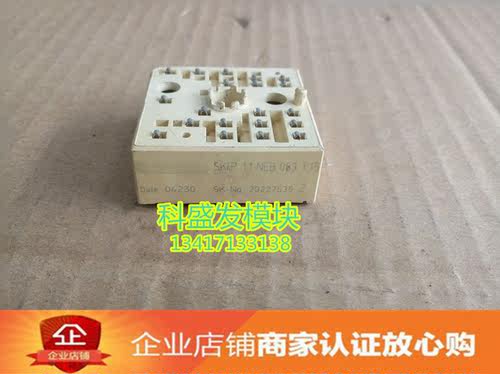 SKIIP11NEB063T15 SKIIP10NEC0631T1 SKIIP11NEB063T16 品质保证
