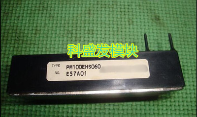 PM100EHS060