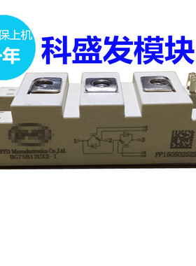 BG75B12UX2-I BG100B06LX2-1 BG100B12LX2 BG100B12LX2-2 全新