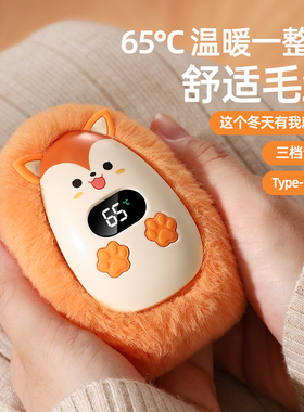 毛绒暖手宝充电款2025新款自发热女生手握热水袋迷你随身蛋学生可爱携带暖手宠冬天神器暖宝宝送圣诞生日礼物