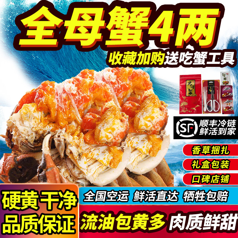 活蟹大闸蟹现货净重3.7-4两全母蟹黄多鲜活流油螃蟹送中秋礼盒