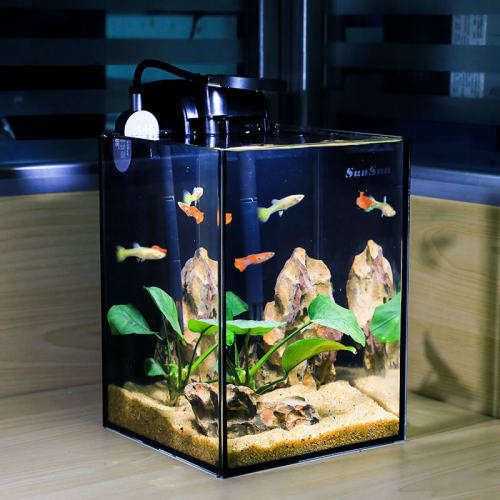 小型家用创意水景森森超白玻璃
