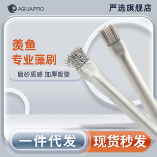 羡鱼藻刷钢丝刷藻类清洁笔刷水草造景刷沉木石头藻类清理ADA款