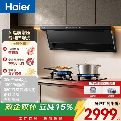 海尔顶侧双吸油烟机30立方1300Pa变频自清洁CXW-358-E900C76UD