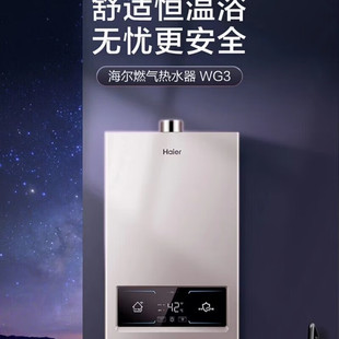 海尔JSQ22-12WG3MWCU1家用燃气热水器12升水气双调智能防冻