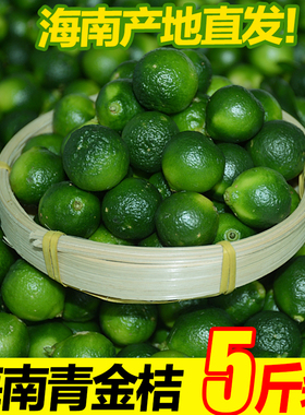 海南小金桔新鲜青金桔酸青橘小柠檬5斤装包邮正宗小青桔产地直供