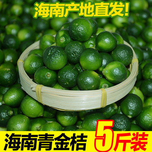 海南青金桔金桔新鲜包邮