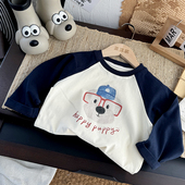 宝宝纯棉插肩袖 数码 上衣 男童长袖 T恤女童撞色打底衫 直喷 儿童秋装