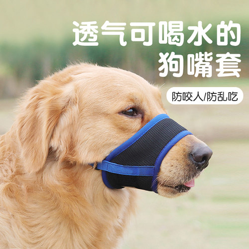 宠向诚嘴套不影响喝水