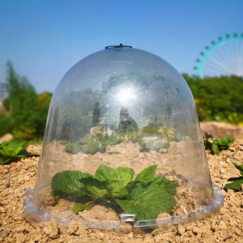特大号4030重复使用植物幼苗育苗