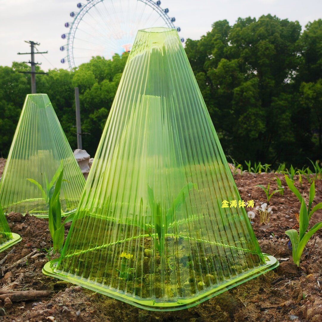 高35cm超大号加厚款植物保温罩塑料绿色大棚种植通用型育苗防护罩
