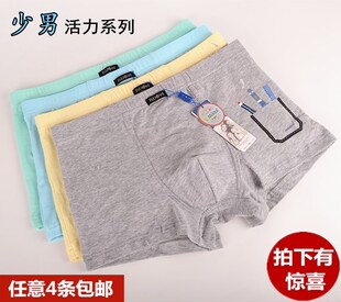 4条包邮普利诗儿童内裤大中童青少年平角男舒适透气 7747