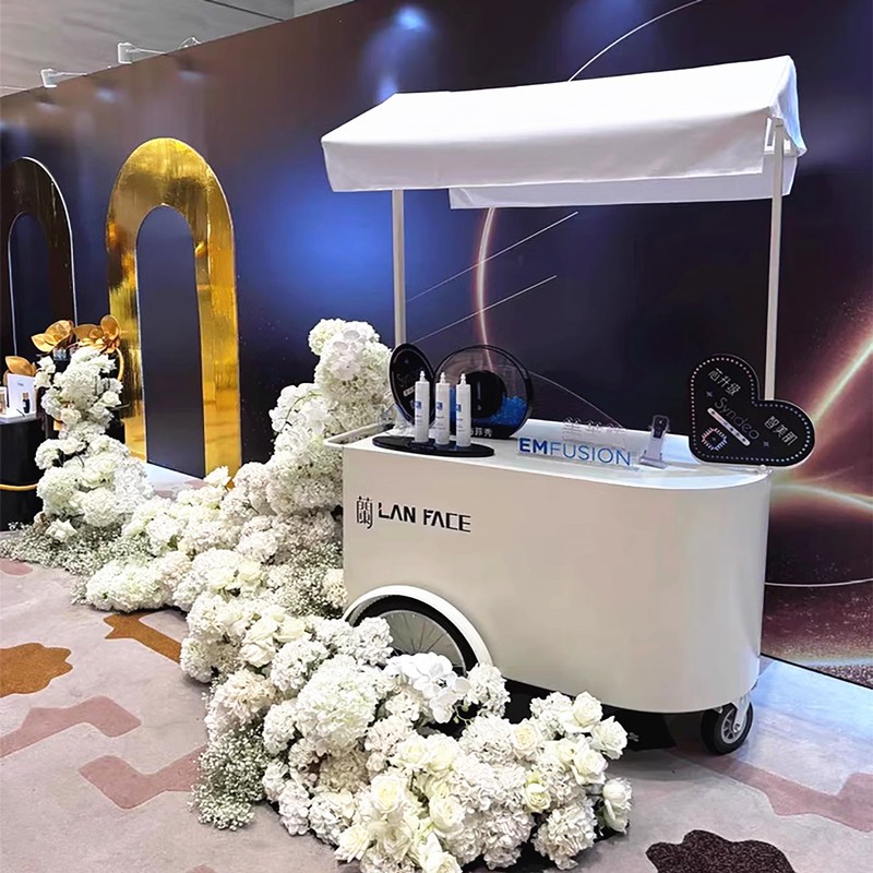 定制花车摆摊小推车流动展示架户外商场移动促销售卖车地摊位集市