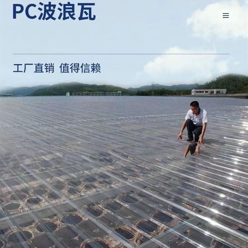 PC全透明阳光板耐力板雨棚屋檐阳光房玻璃亮瓦蔬菜大棚采光波浪瓦
