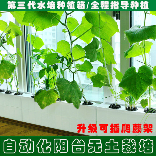 水培蔬菜种植箱无土栽培设备家庭阳台种菜神器多层水耕机组合花盆 - 封面