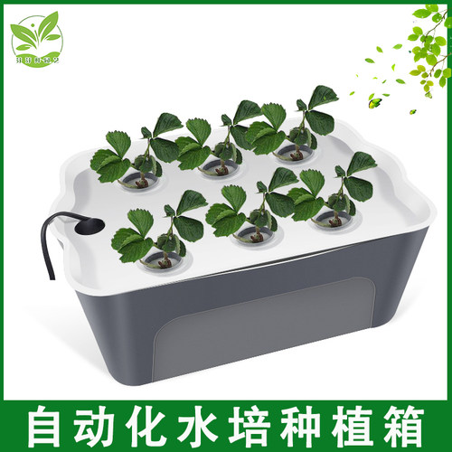家庭阳台种菜 无土栽培设备室内水培蔬菜种植箱自动化水耕种菜机 - 封面