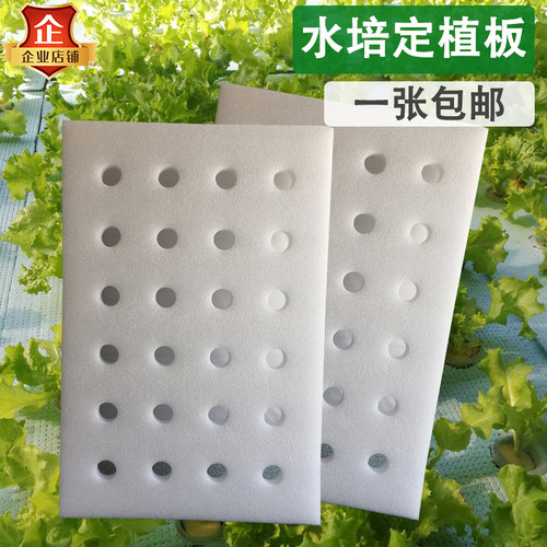 水培蔬菜漂浮定植板鱼塘水上种植浮床无土栽培设备水耕泡沫块包邮