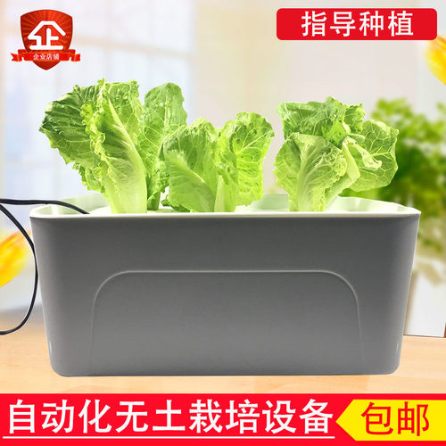 蔬菜种植无土栽培水耕草莓花盆