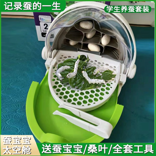 科学罐头太空舱蚕宝宝养殖孵化箱