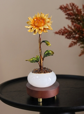 向阳而生向日葵盆景叶片舒展