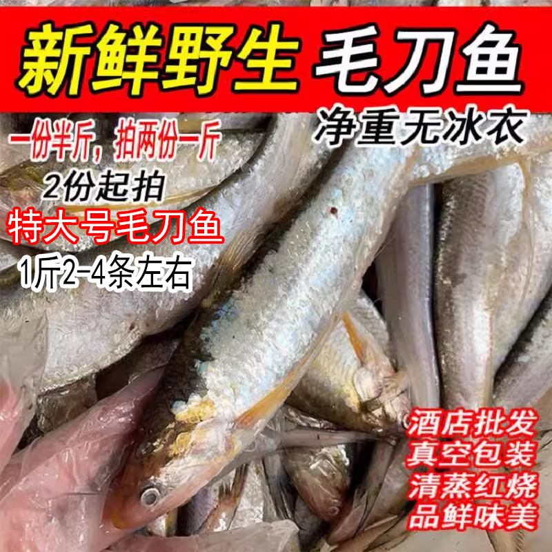 特大号毛刀鱼新鲜刀鱼鲜活淡水湖凤尾鱼酒店油炸海鲜水产拍2份1斤