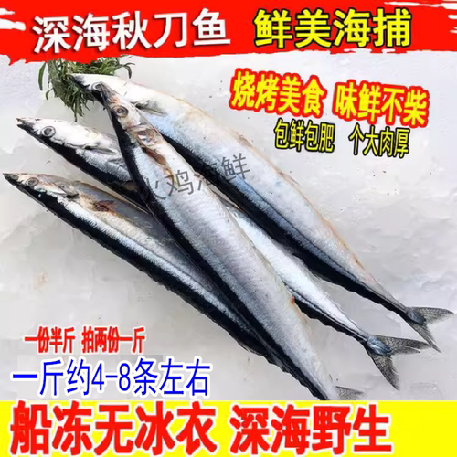 大秋刀鱼新鲜烧烤材1斤约4-8条