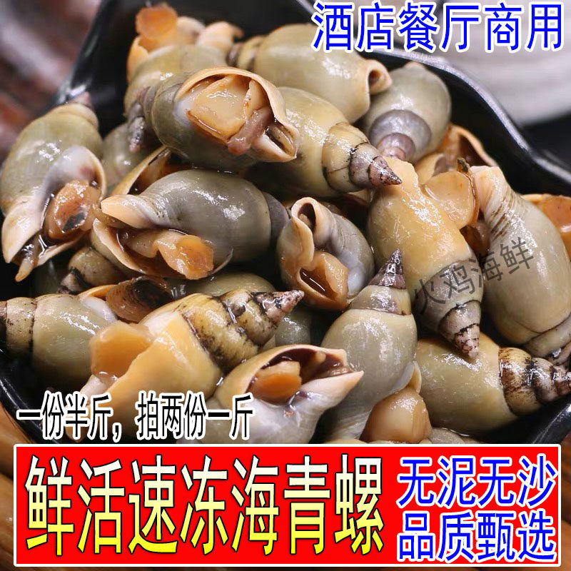 新鲜小青螺翡翠螺鲜活冷冻海青螺小螺丝捞汁批发海鲜水产拍2份1斤