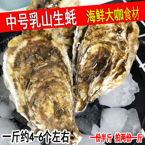 生蚝海蛎子牡蛎鲜活带壳1斤4-6个