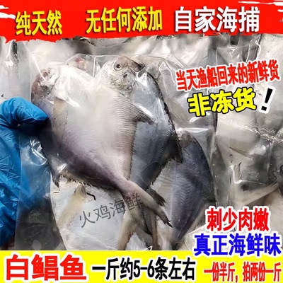 白鲳鱼银鲳鱼扁鱼新鲜鲜活野生