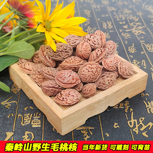野生龙纹桃核毛桃核雕刻料永莲蜜