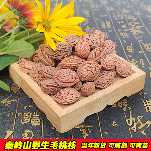 野生龙纹桃核毛桃核碧桃核雕刻料永莲蜜桃篮桃框秦岭山桃胡手串料