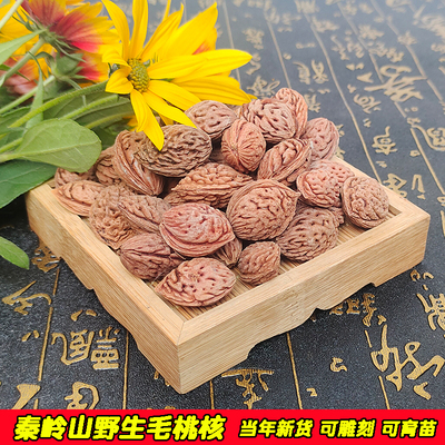 野生龙纹桃核毛桃核雕刻料永莲蜜