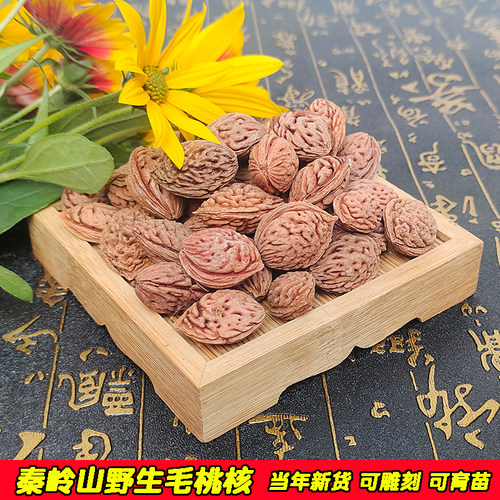 野生龙纹桃核毛桃核雕刻料永莲蜜