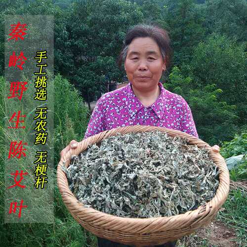 艾叶艾灸纯叶子泡脚端午节野生